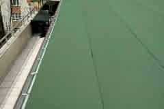 WhatsApp-Image-2022-03-13-at-17.25.23